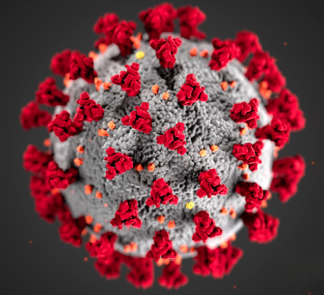 CDC depiction of coronavirus